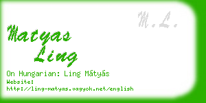 matyas ling business card